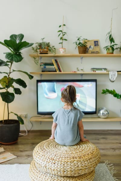 Renter friendly shelving