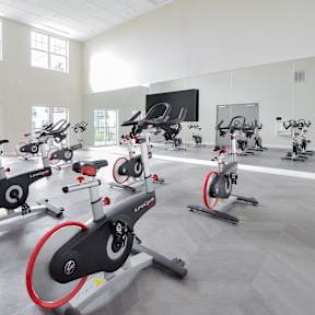 a gym full of exercise bikes in a large room