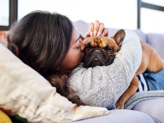 a woman laying on a couch with her dog at The Willows, O'Fallon Missouri