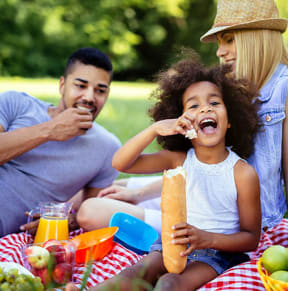 Family on a picnic in the park