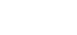 Palms of Boca Del Mar