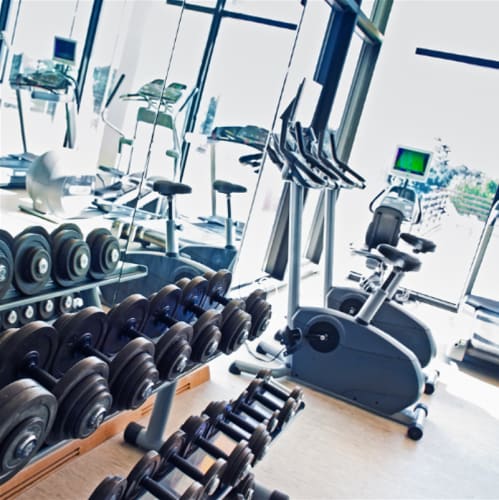 the interior of a modern gym with cardio equipment and weights