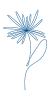 a blue rectangle with a black border