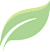 A stylized green leaf with a black outline.