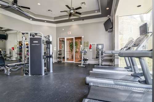 A gym with treadmills, weights, and a fan.