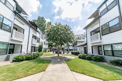 A tree stands in the middle of a grassy area between two apartment buildings.