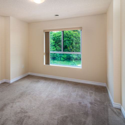 Sunny bedroom with large window and carpeting.