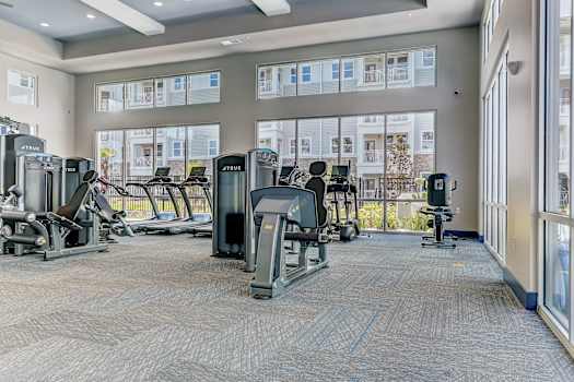 A gym with a variety of equipment including treadmills, stationary bikes, and weight machines.