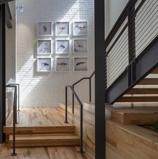 A beagle puppy is playing with a ball on the grass.