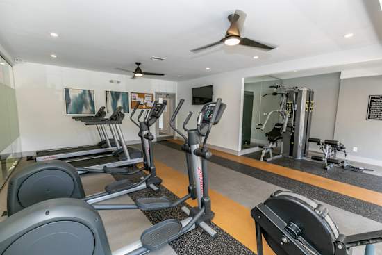 A gym with treadmills, elliptical machines, and a mirror.