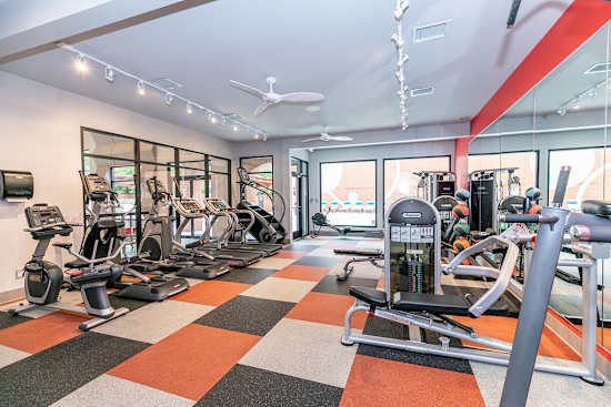 A gym with a variety of exercise equipment including treadmills, stationary bikes, and weight machines.