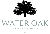 Water Oak