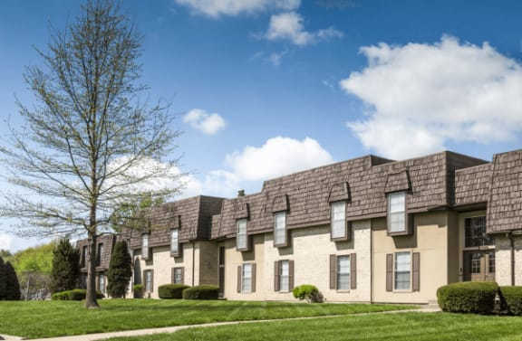 a group of apartments and a tree