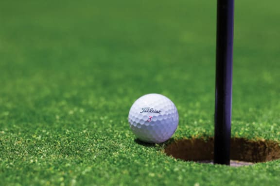 golf club