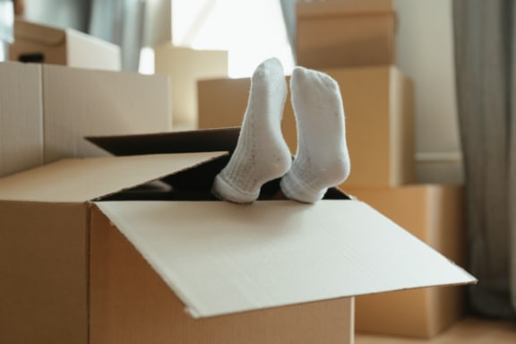 person in a moving box