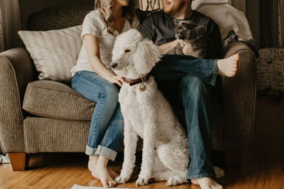 a couple sitting on a couch with their dog and a cat