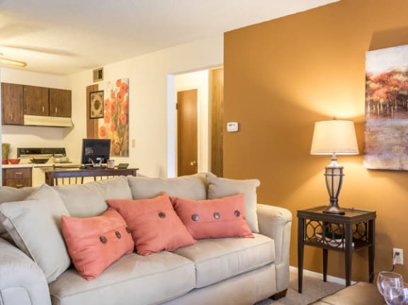 apartment living room with a couch