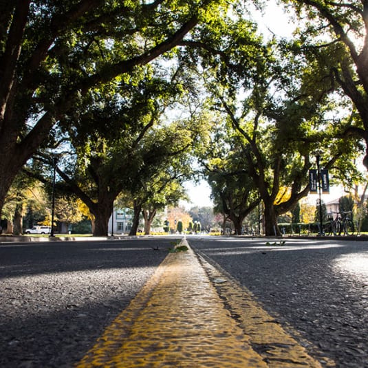 EL MACERO Apartments in DAVIS, CA