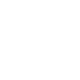 The DeSoto Logo