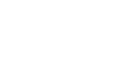 Pine Shadows