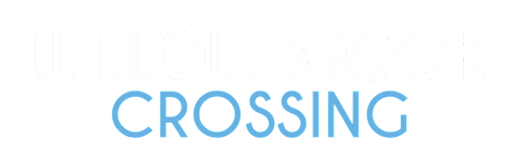 A black banner with the word "CROSSING" in light blue.