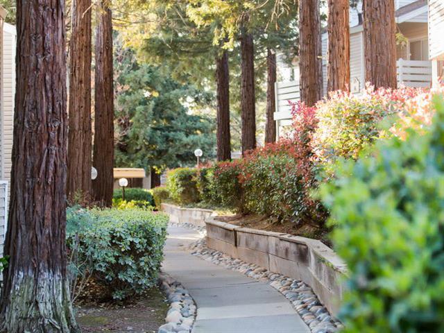 Apartments in Citrus Heights, CA | Autumn Ridge Apartments