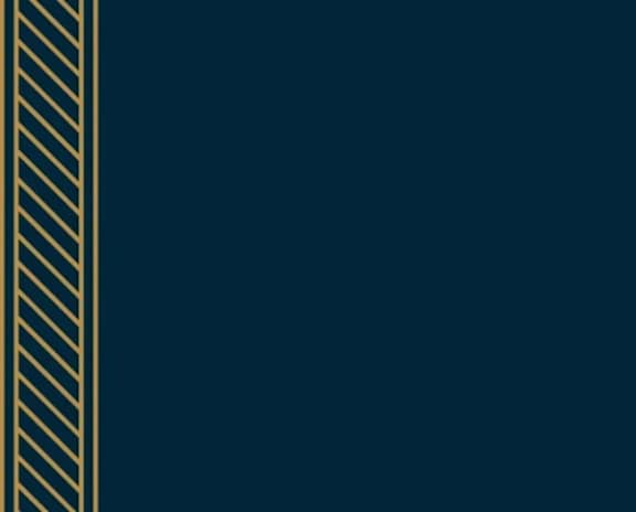 A dark blue background with a gold stripe on the left side.
