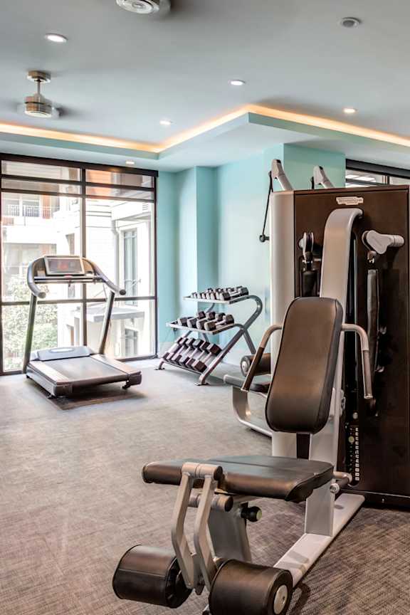 A gym with a treadmill, a rowing machine and a weight machine.