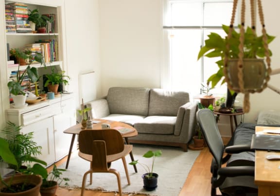 a living room with a couch and some plants