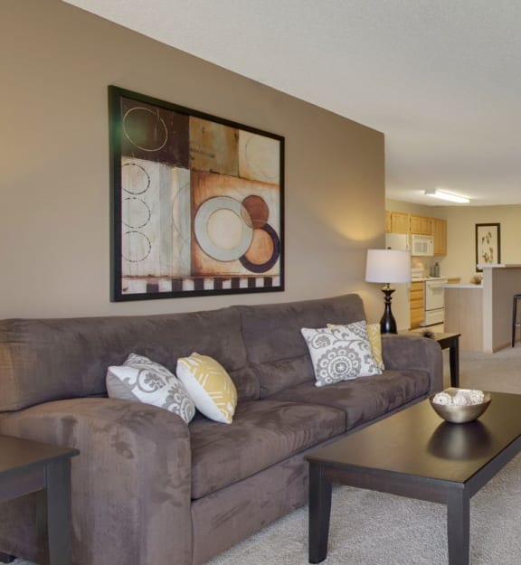 The Preserve at Commerce Apartments in Rogers, MN