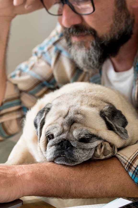 a man holding a pug dog on his lap at Spring Creek Apartments, Crestview, FL, 32536