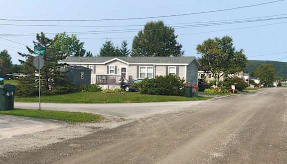 A residential street with houses on both sides and a stop sign at the corner.