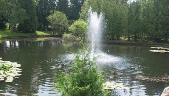 A fountain in the middle of a pond surrounded by greenery.
