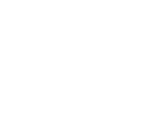 The Finn Logo