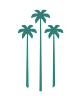 Three palm trees are depicted in a stylized image.