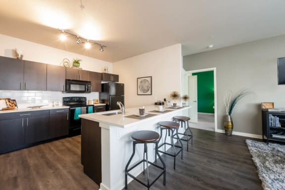kitchen view inside Carrick Bend's luxury apartments