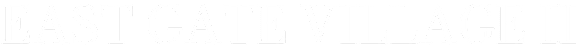 Fitch Irick Logo