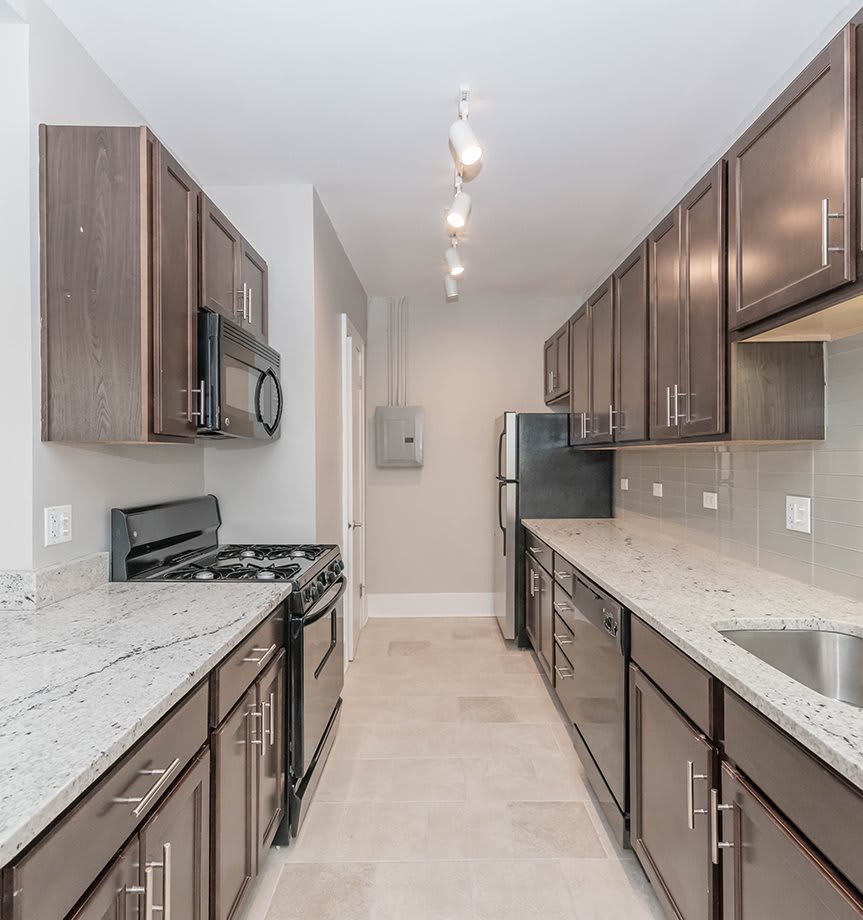 Lakeview East, Chicago Apartments Reside on Surf Home