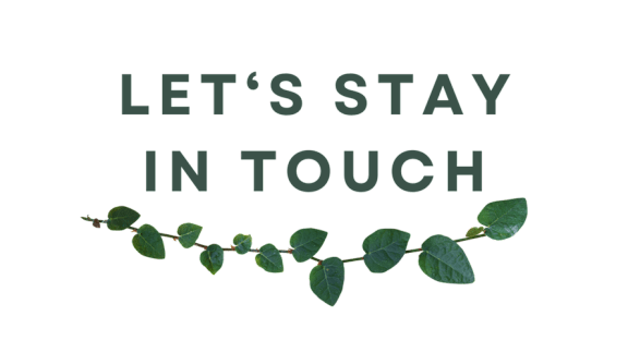 A black background with the words "Let's stay in touch" and a branch of green leaves.