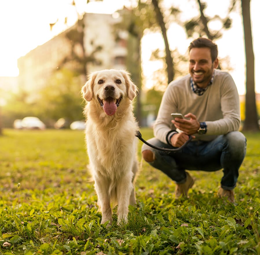 Park At Cambridge MeaningKosh