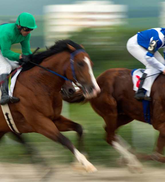 Horse Race at Trestle Apartments, Monrovia, 91016