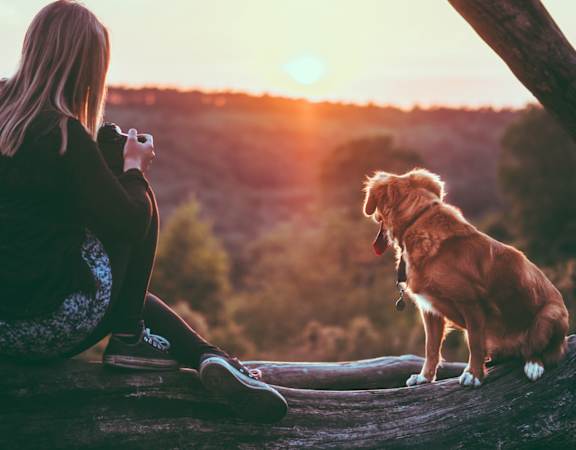 Woman Sitting with Dog Watching Sunset