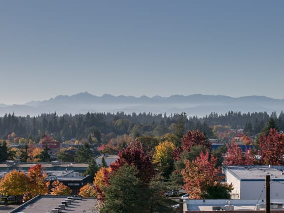 City Center at Lynnwood Apartments in Lynnwood WA