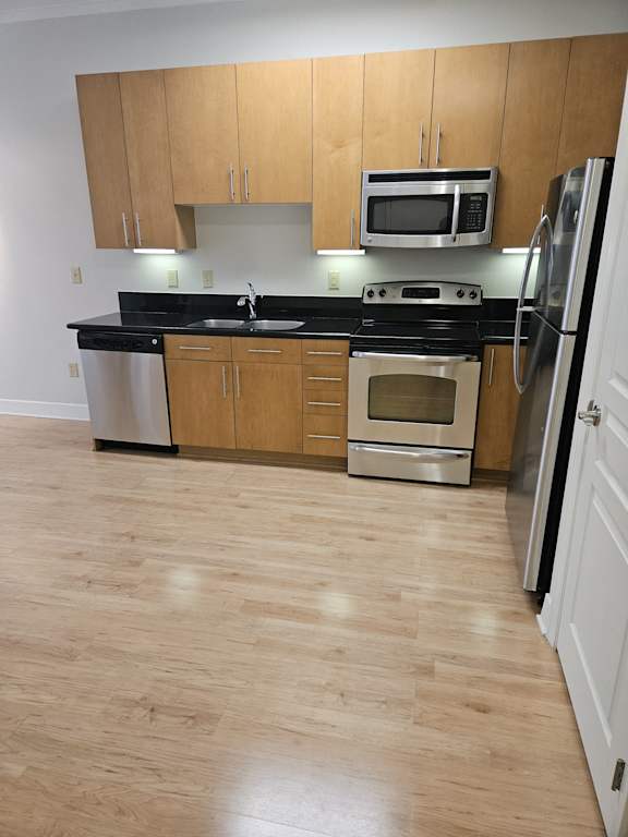 A kitchen with a black fridge and microwave above a wooden cabinet.