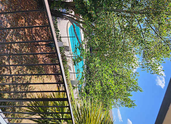 A pool surrounded by trees and a building.