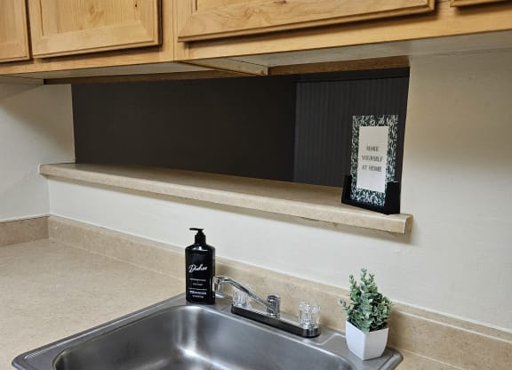 Ventana Apartment kitchen sink