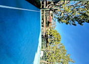 Thumbnail 42 of 44 - the sport court with soccer net and lush foliage at The Bryant Apartments at Yorba Linda, Yorba Linda California