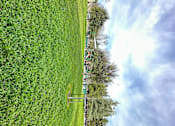 Thumbnail 33 of 34 - Grassy field with trees at City View Apartments at Warner Center, Woodland Hills, CA 91367