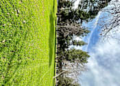 Thumbnail 32 of 34 - Grassy field with trees at City View Apartments at Warner Center, Woodland Hills, CA