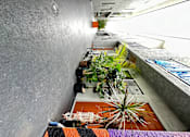 Thumbnail 3 of 19 - an overhead view of a building with plants in it at The Marq Apartments LLC, Los Angeles, California